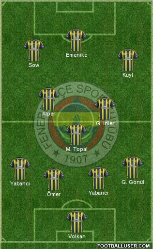 Fenerbahçe SK Formation 2013