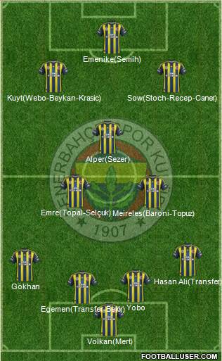 Fenerbahçe SK Formation 2013