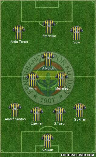 Fenerbahçe SK Formation 2013