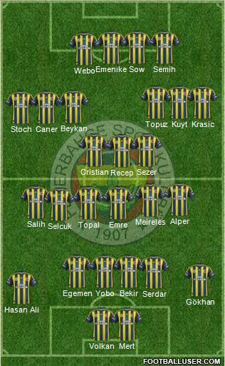 Fenerbahçe SK Formation 2013