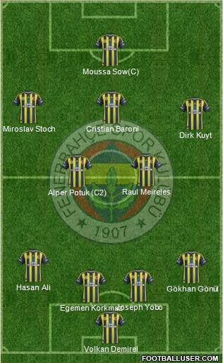 Fenerbahçe SK Formation 2013