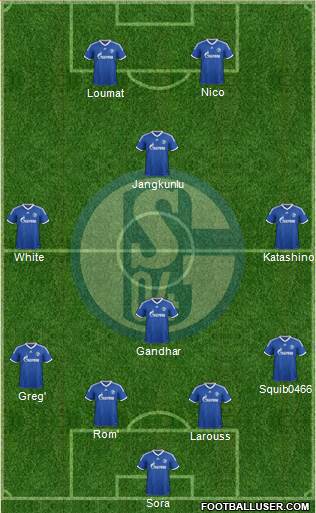 FC Schalke 04 Formation 2013