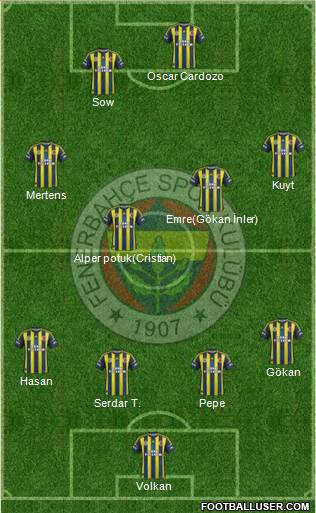 Fenerbahçe SK Formation 2013
