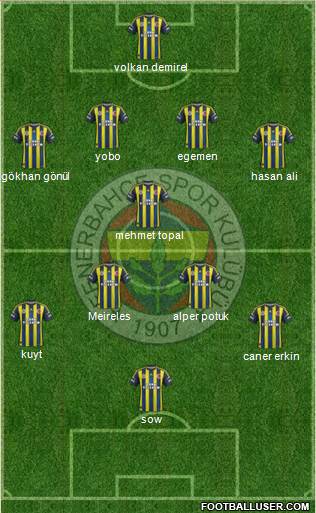 Fenerbahçe SK Formation 2013
