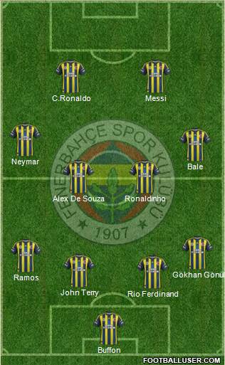 Fenerbahçe SK Formation 2013