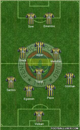 Fenerbahçe SK Formation 2013