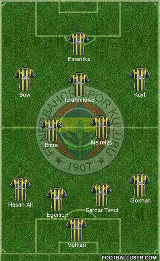 Fenerbahçe SK Formation 2013