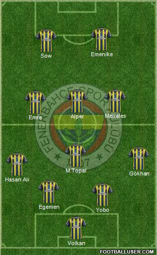 Fenerbahçe SK Formation 2013