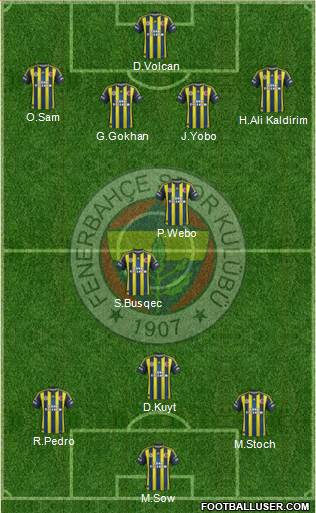 Fenerbahçe SK Formation 2013