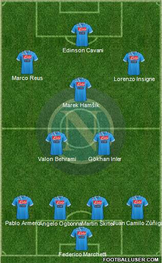 Napoli Formation 2013