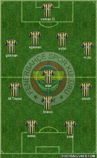 Fenerbahçe SK Formation 2013