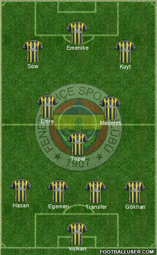 Fenerbahçe SK Formation 2013