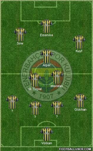 Fenerbahçe SK Formation 2013