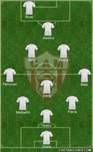 Atlético Minero Formation 2013