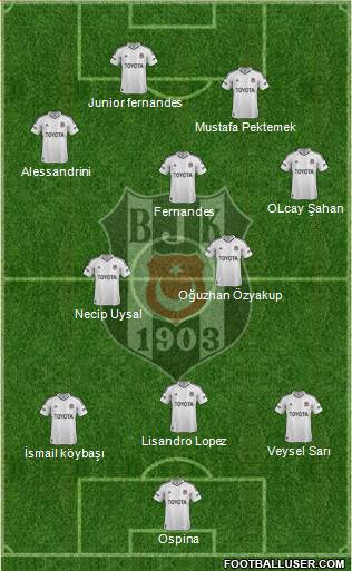 Besiktas JK Formation 2013