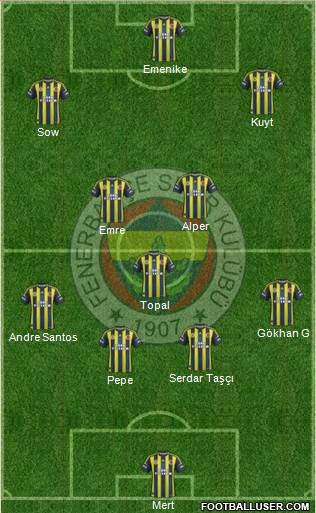 Fenerbahçe SK Formation 2013