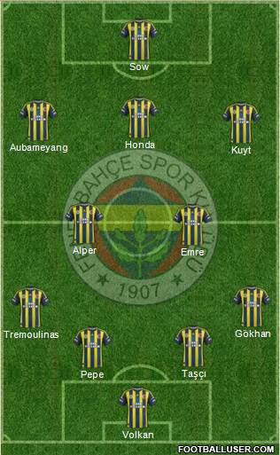 Fenerbahçe SK Formation 2013