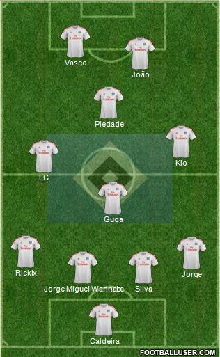Hamburger SV Formation 2013