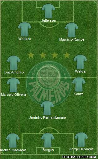 SE Palmeiras Formation 2013