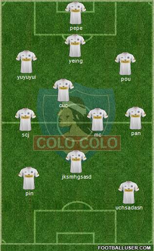 CSD Colo Colo Formation 2013