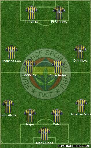 Fenerbahçe SK Formation 2013