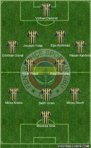 Fenerbahçe SK Formation 2013