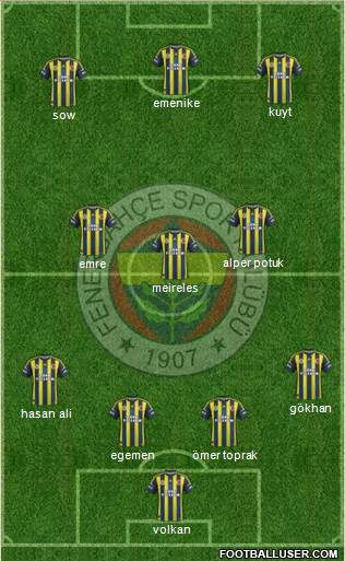 Fenerbahçe SK Formation 2013