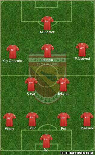 Gaziosmanpasa Formation 2013