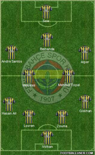 Fenerbahçe SK Formation 2013