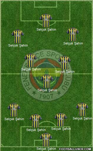 Fenerbahçe SK Formation 2013