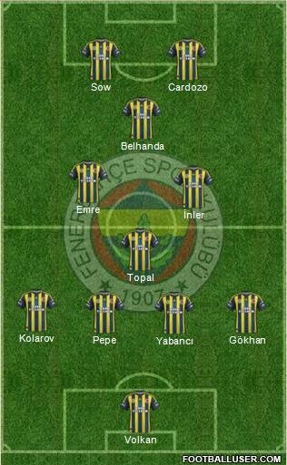 Fenerbahçe SK Formation 2013