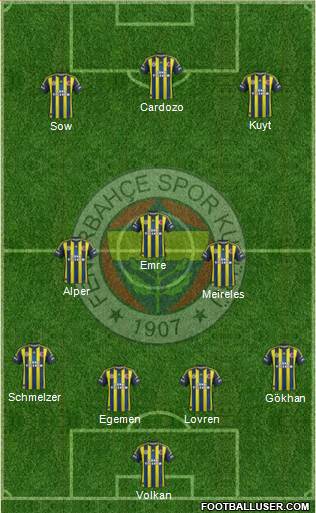 Fenerbahçe SK Formation 2013