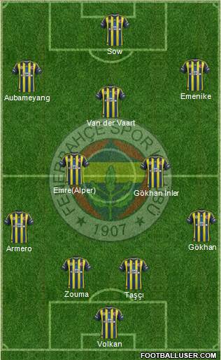 Fenerbahçe SK Formation 2013
