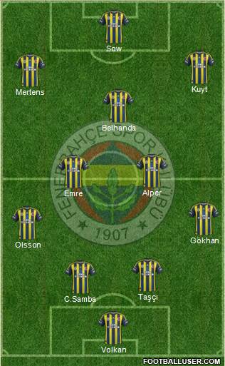 Fenerbahçe SK Formation 2013
