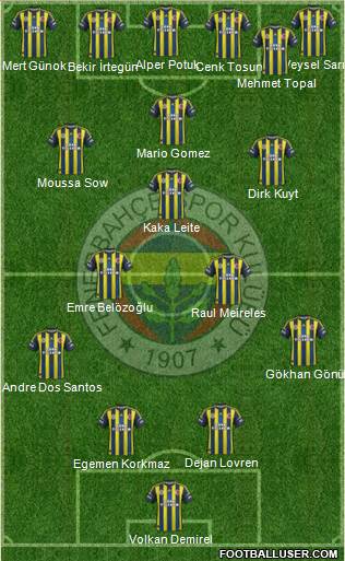 Fenerbahçe SK Formation 2013