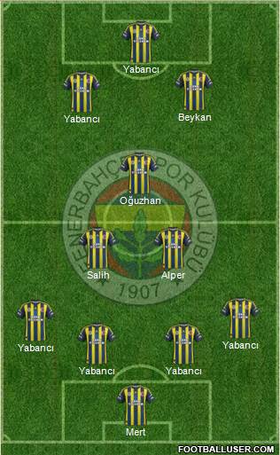 Fenerbahçe SK Formation 2013