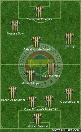 Fenerbahçe SK Formation 2013