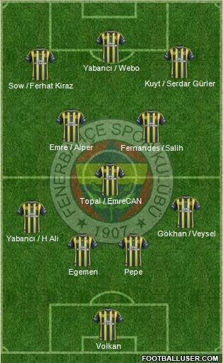 Fenerbahçe SK Formation 2013