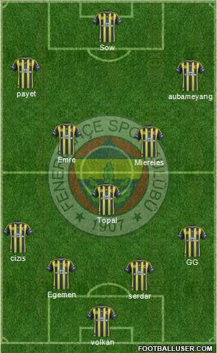Fenerbahçe SK Formation 2013