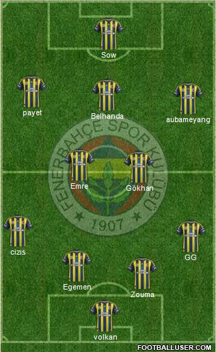 Fenerbahçe SK Formation 2013