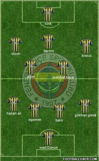 Fenerbahçe SK Formation 2013