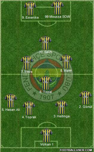 Fenerbahçe SK Formation 2013