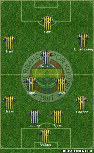 Fenerbahçe SK Formation 2013
