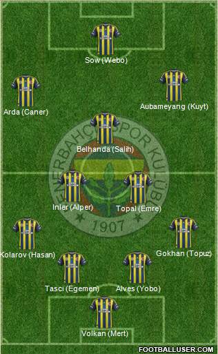 Fenerbahçe SK Formation 2013