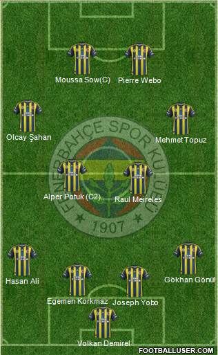 Fenerbahçe SK Formation 2013