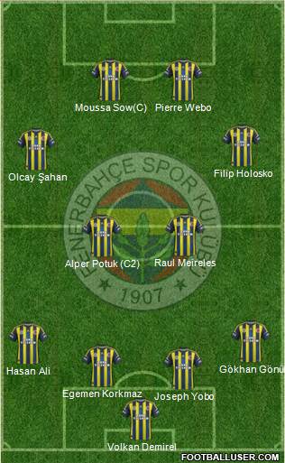 Fenerbahçe SK Formation 2013
