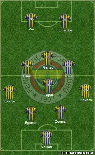 Fenerbahçe SK Formation 2013