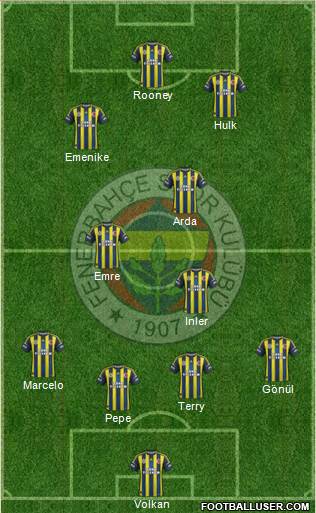 Fenerbahçe SK Formation 2013