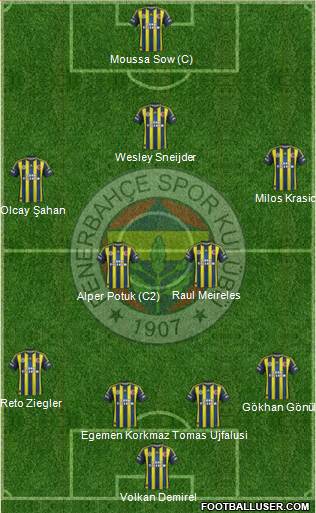 Fenerbahçe SK Formation 2013