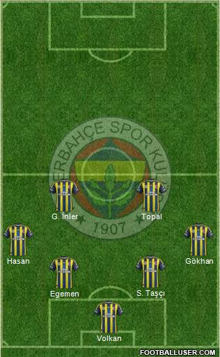 Fenerbahçe SK Formation 2013